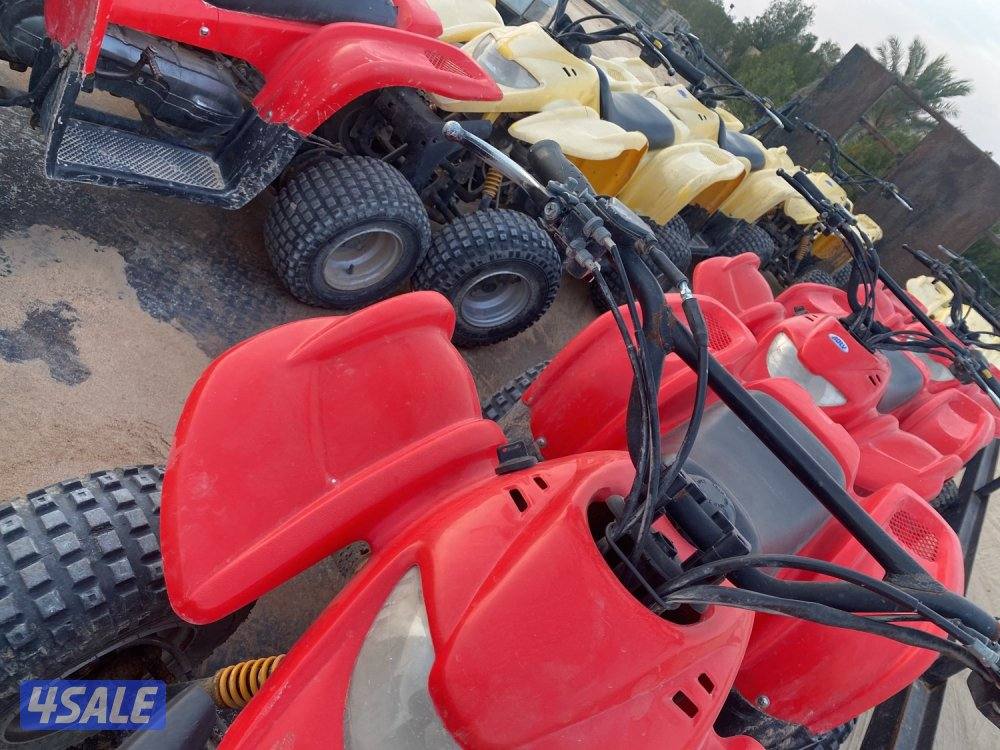 للإيجار بقيات كبد جبد0