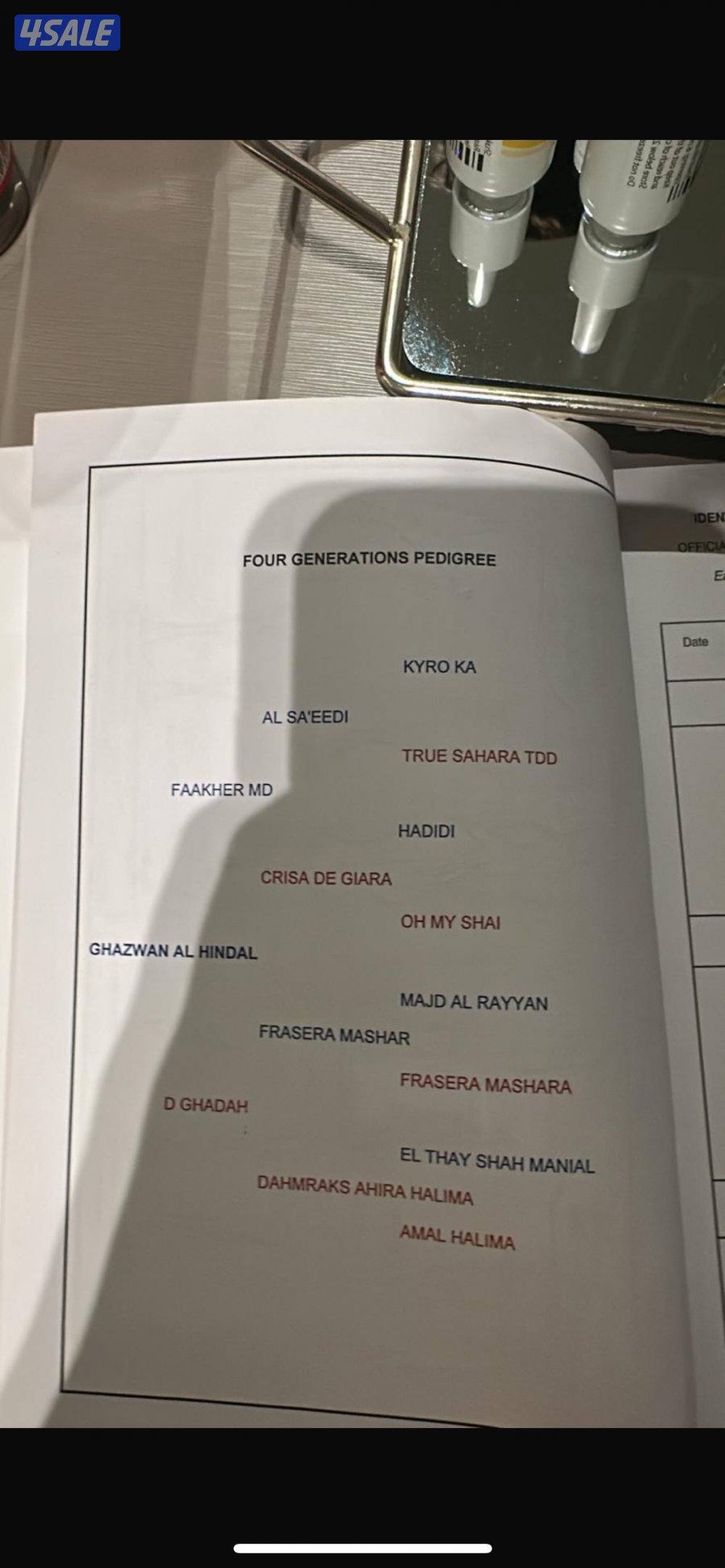 فلو ادهم مصري2