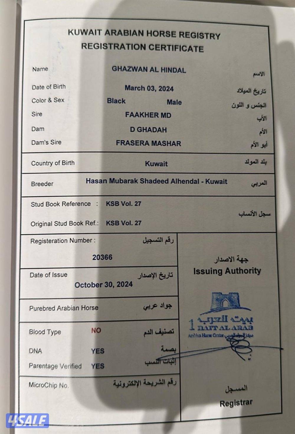 فلو ادهم مصري3