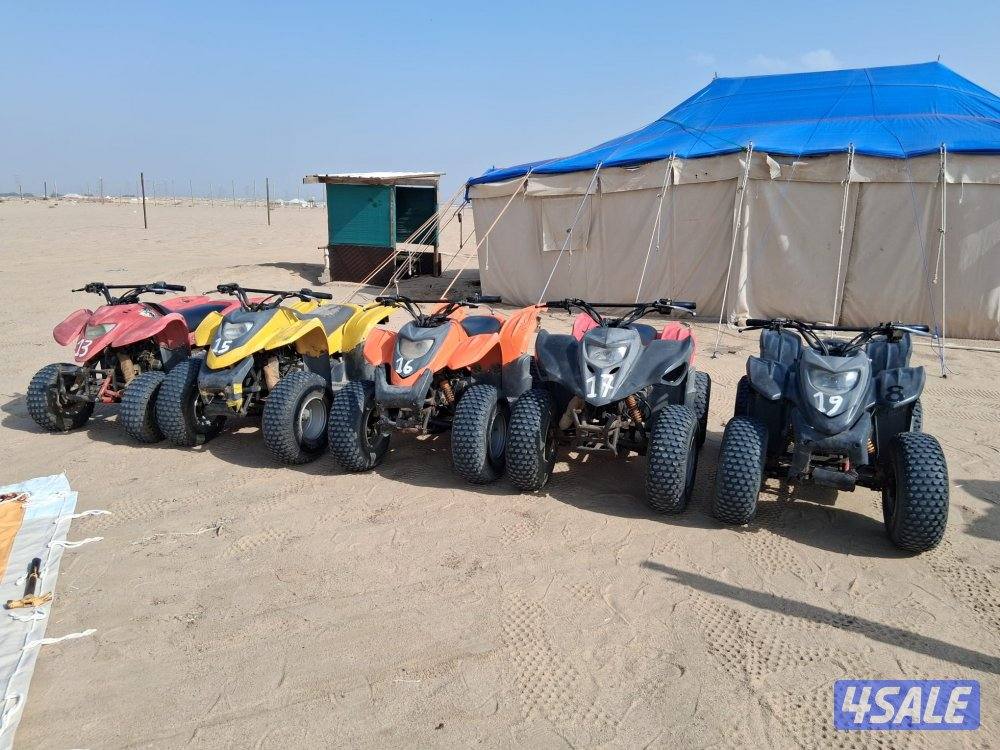 Old buggies will be sold5