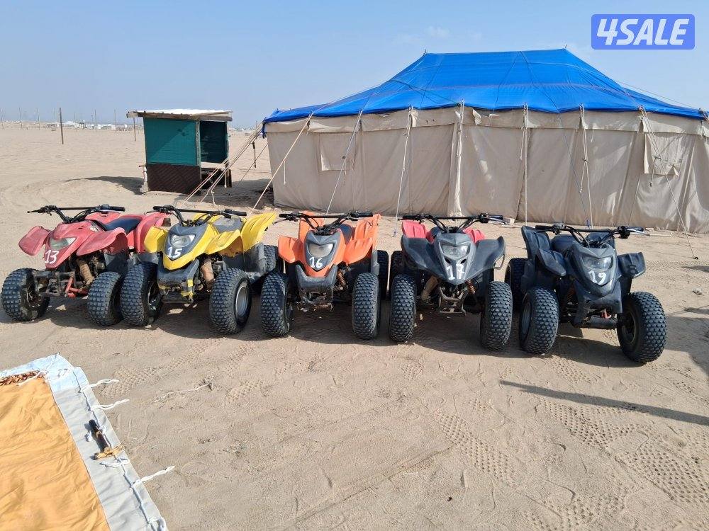 Old buggies will be sold6