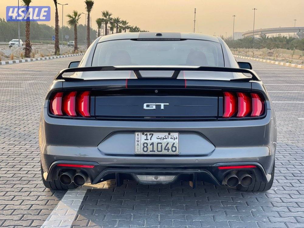 موستنق برفورمنس بكج 5.0 موديل 2019 ماشي 88 الف 10 غيار صبغ الوكالة3