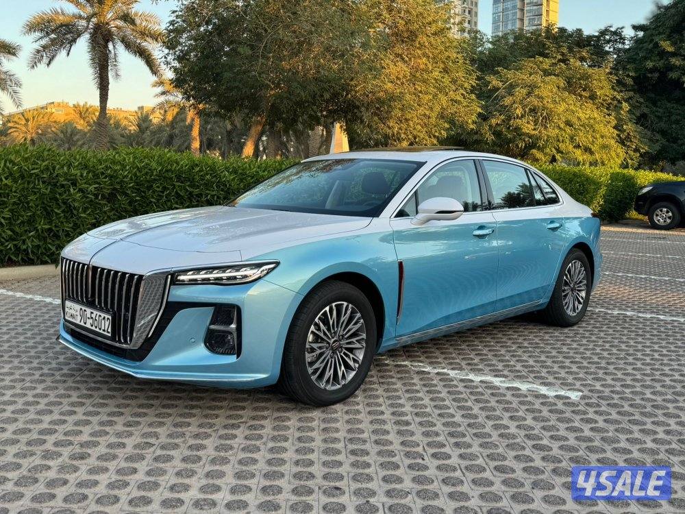 هونشي اوسادو 2024 اصفار0