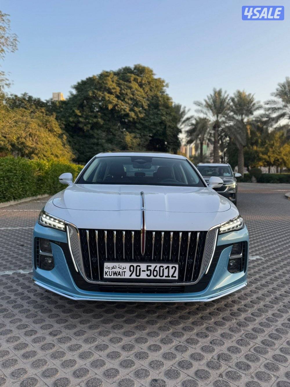 هونشي اوسادو 2024 اصفار1