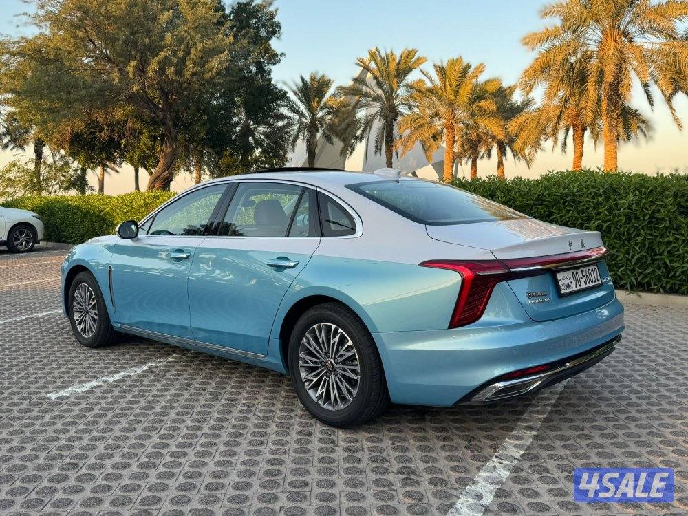 هونشي اوسادو 2024 اصفار4