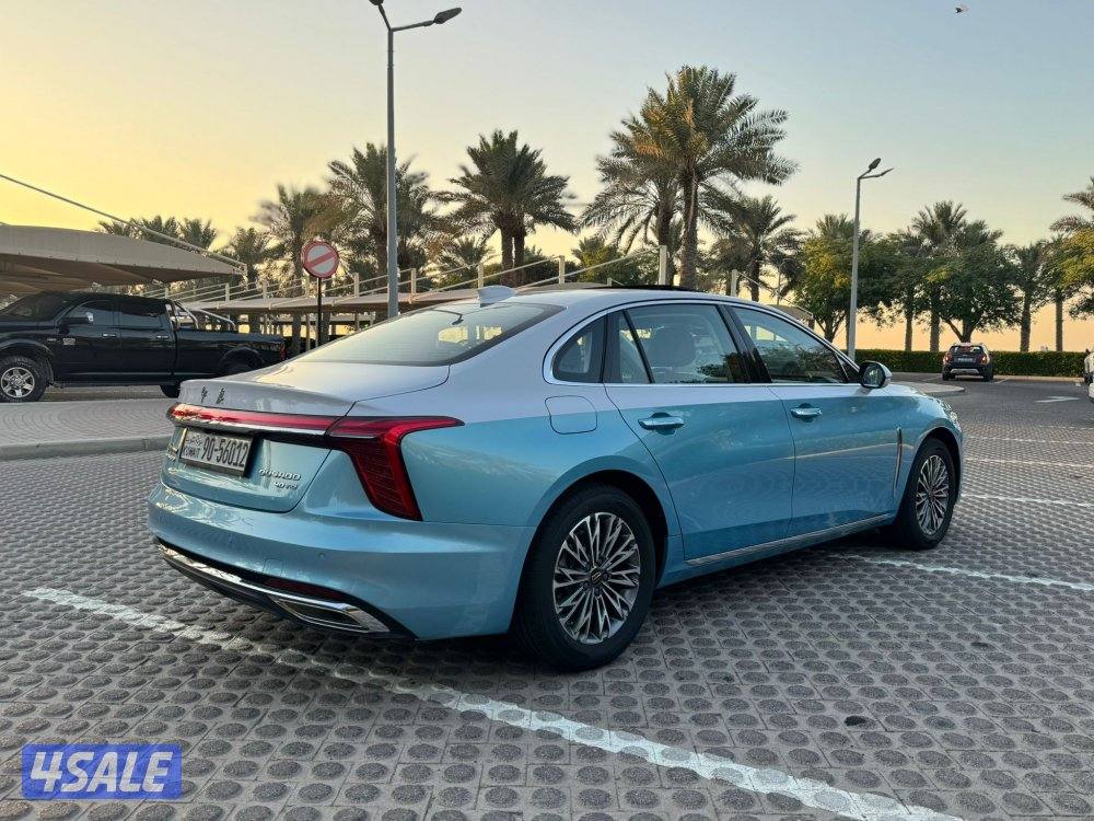 هونشي اوسادو 2024 اصفار5