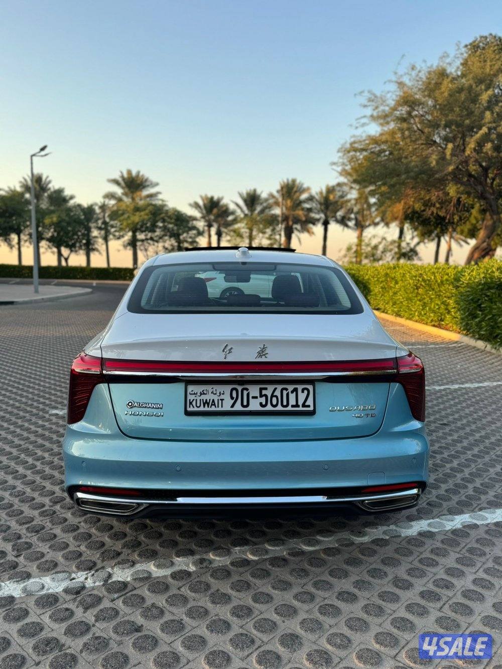 هونشي اوسادو 2024 اصفار6