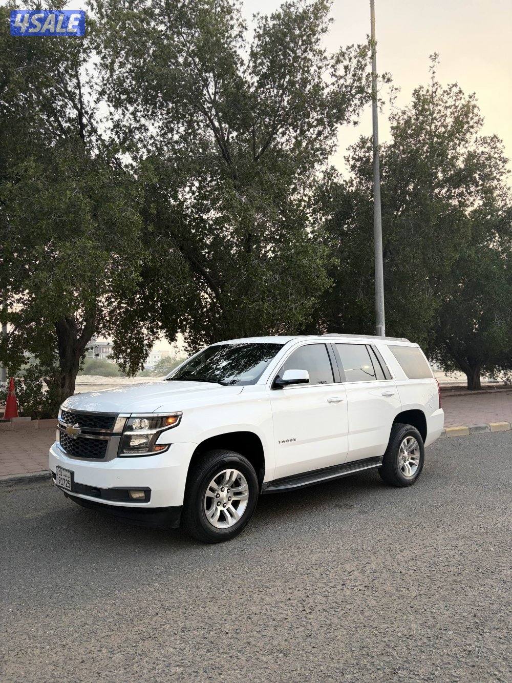 للبيع تاهو صبغ الوكالة1