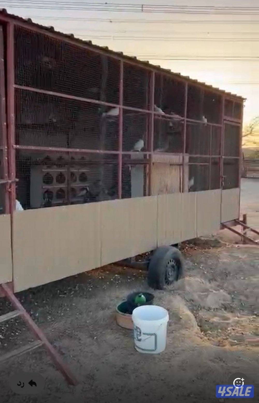 بيعة سريعة جبرة سحب0