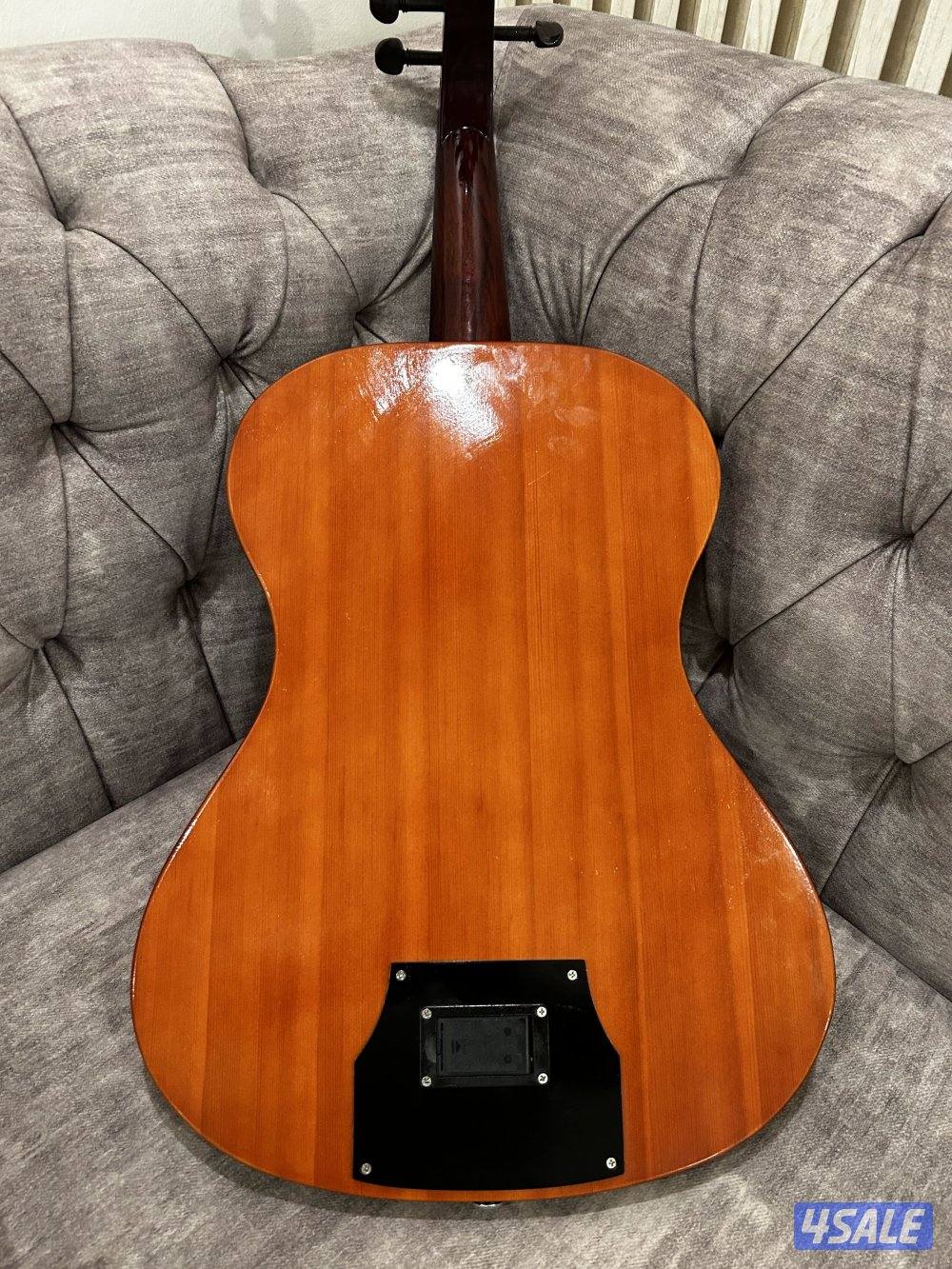 عود سالمين اصلي اليكترك كهربائي4