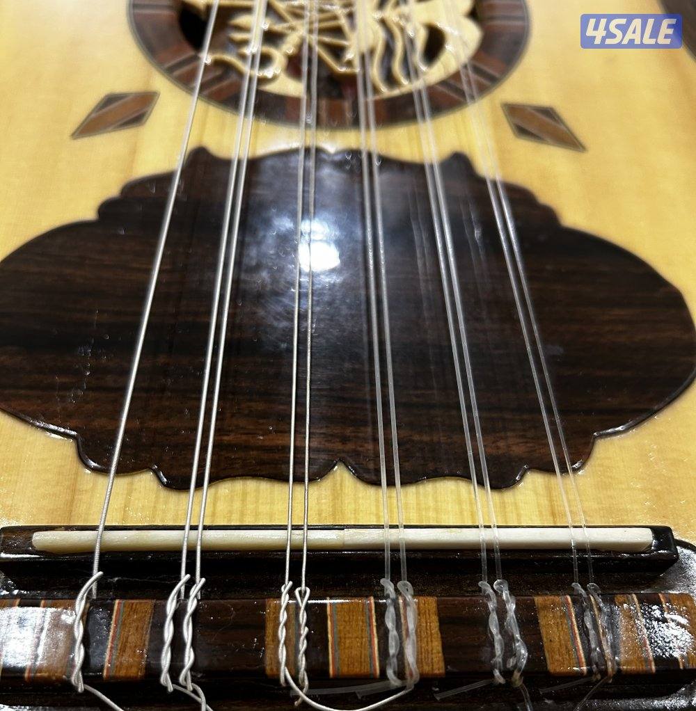 عود سالمين اصلي اليكترك كهربائي5