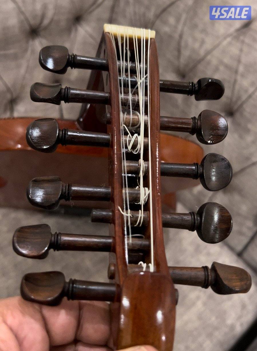 عود سالمين اصلي اليكترك كهربائي11