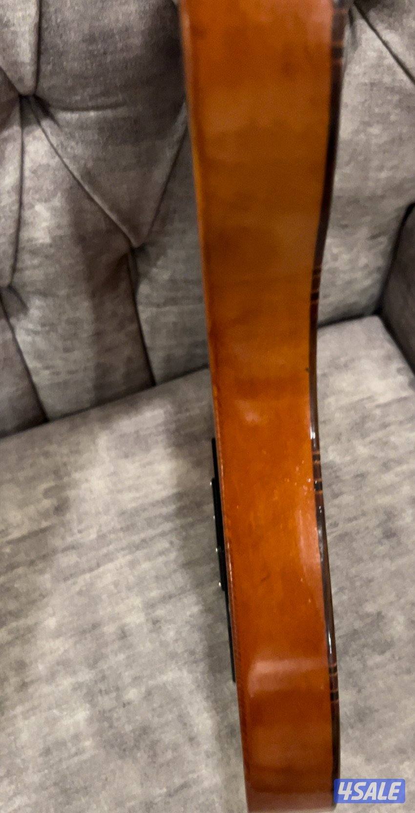 عود سالمين اصلي اليكترك كهربائي13