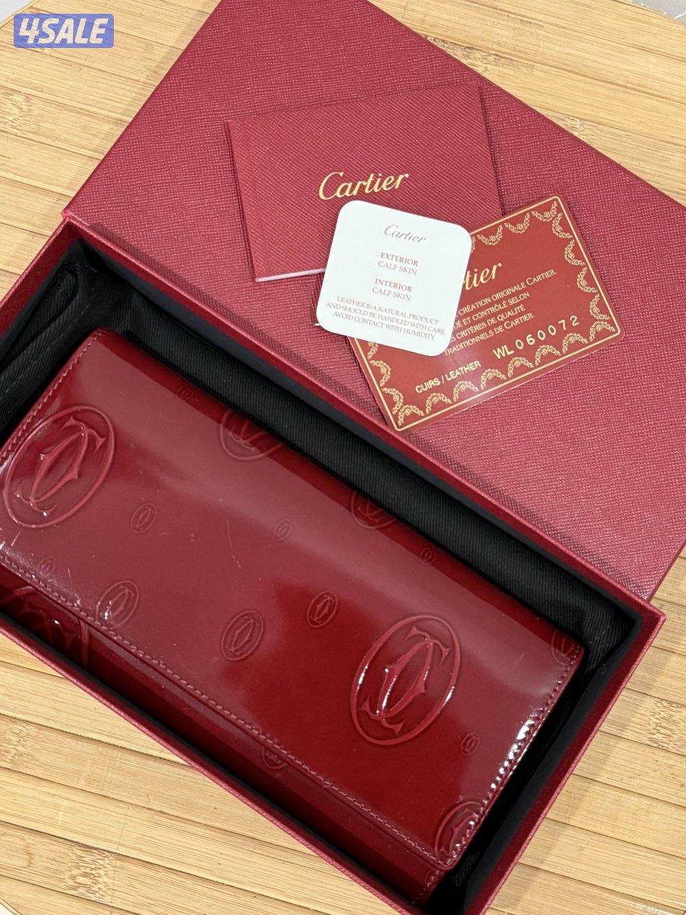 كارتير ودنهل4