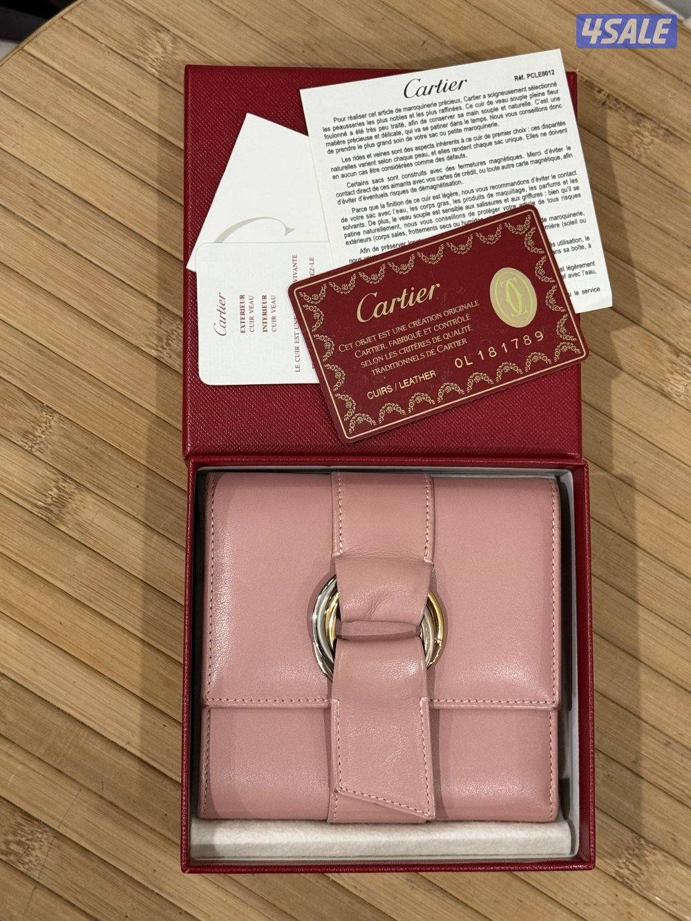 كارتير ودنهل6