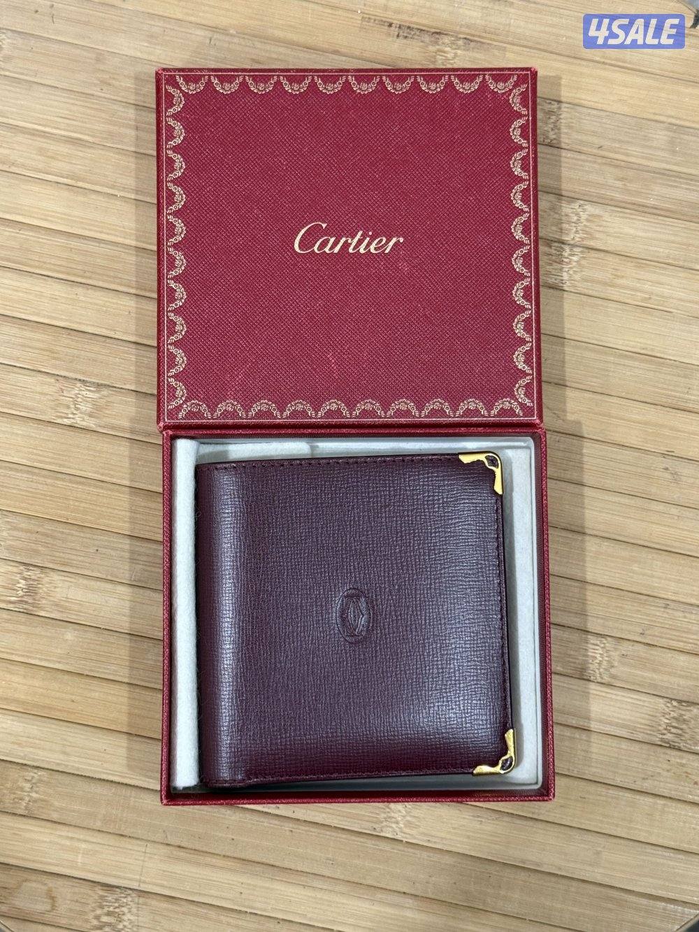 كارتير ودنهل13