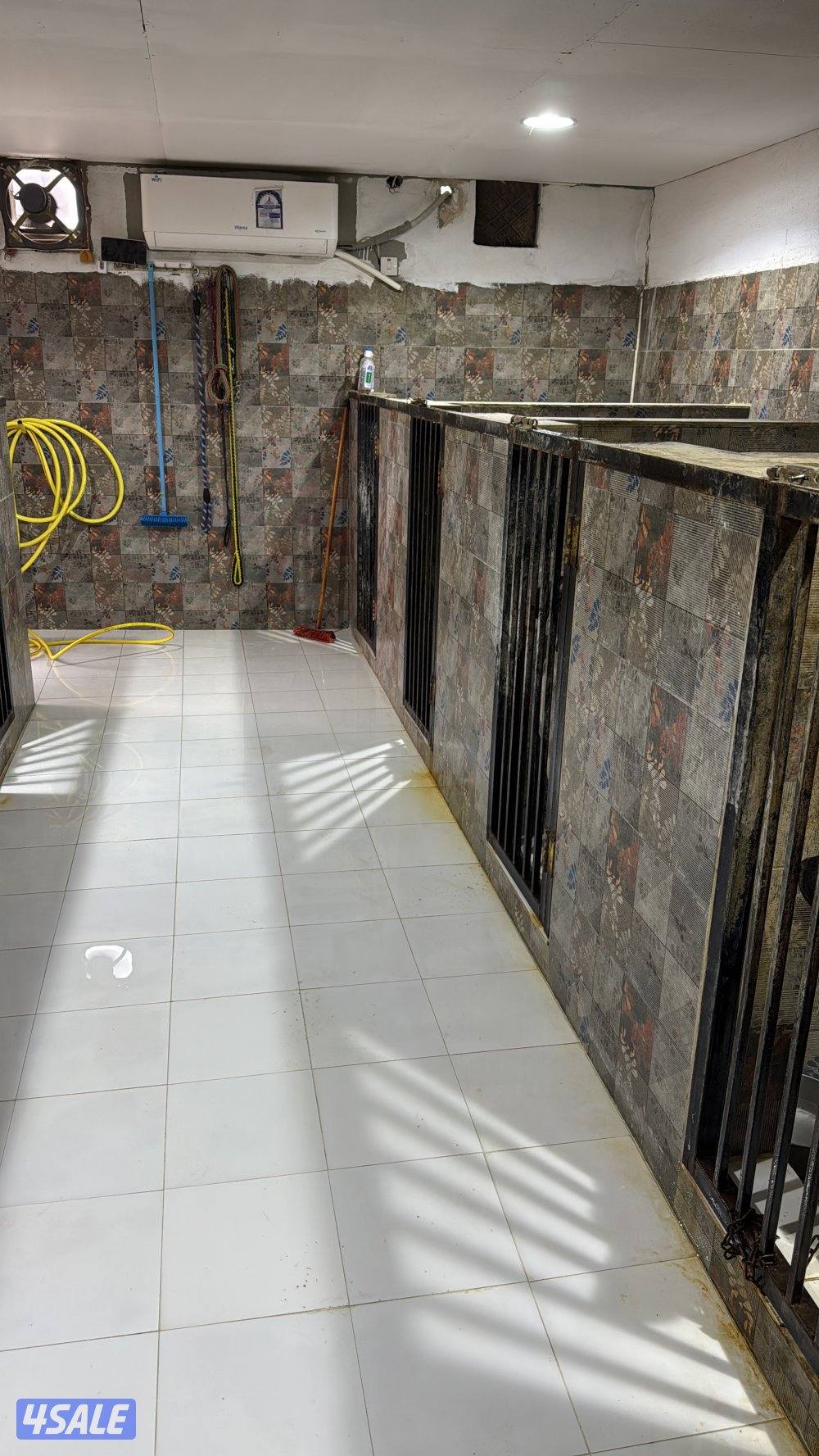 فندقه للكلاب1