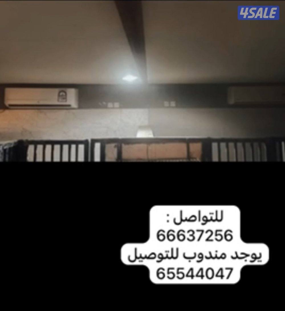 فندقه للكلاب3