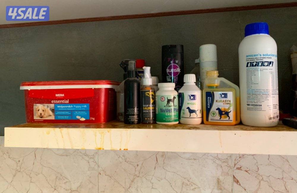 فندقه للكلاب8