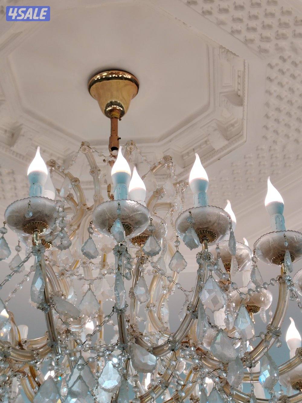 professional electrician1