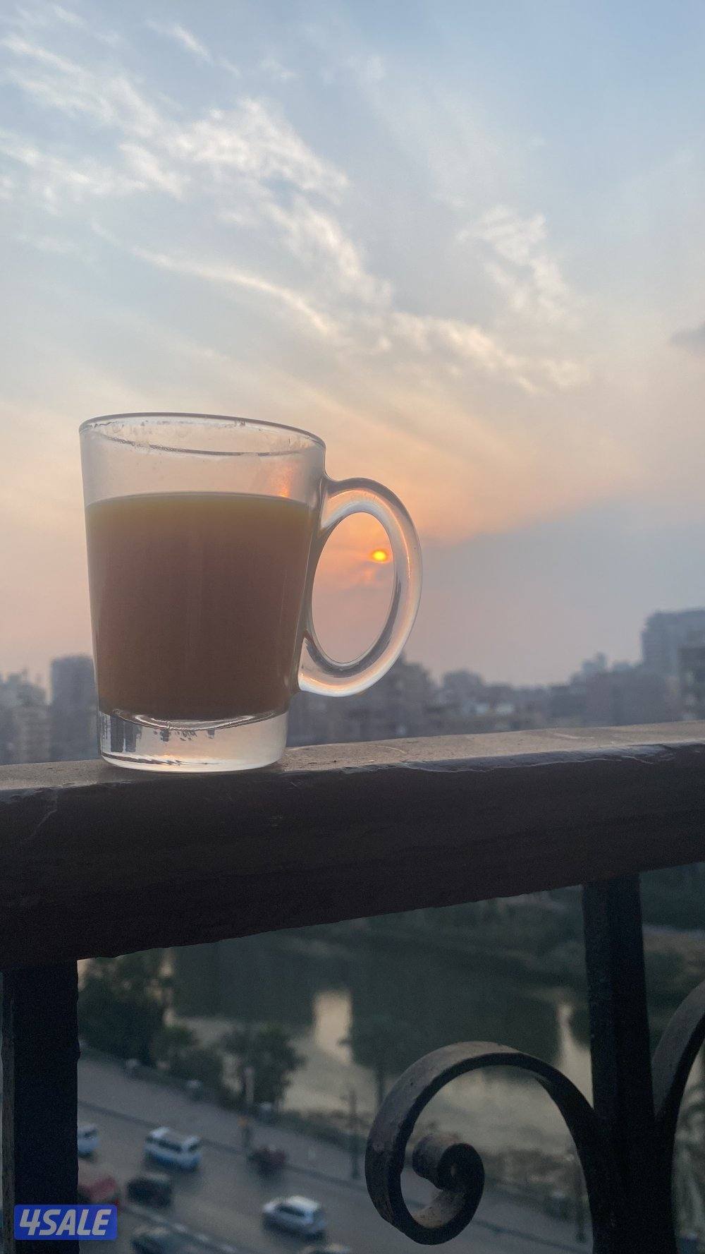 فرصه ذهبيه🌟🌟شقه مطله علي النيل مقابل المنيل4