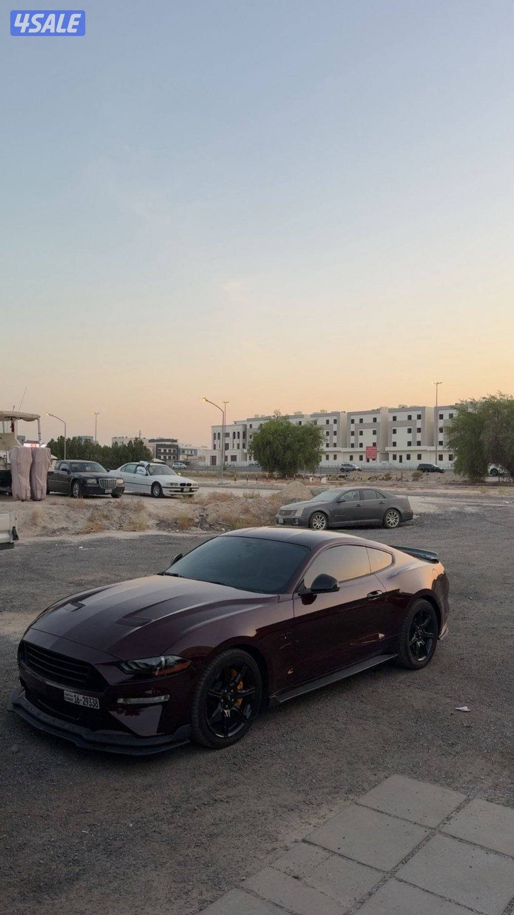 فورد موستنج 5.0 عنابي6