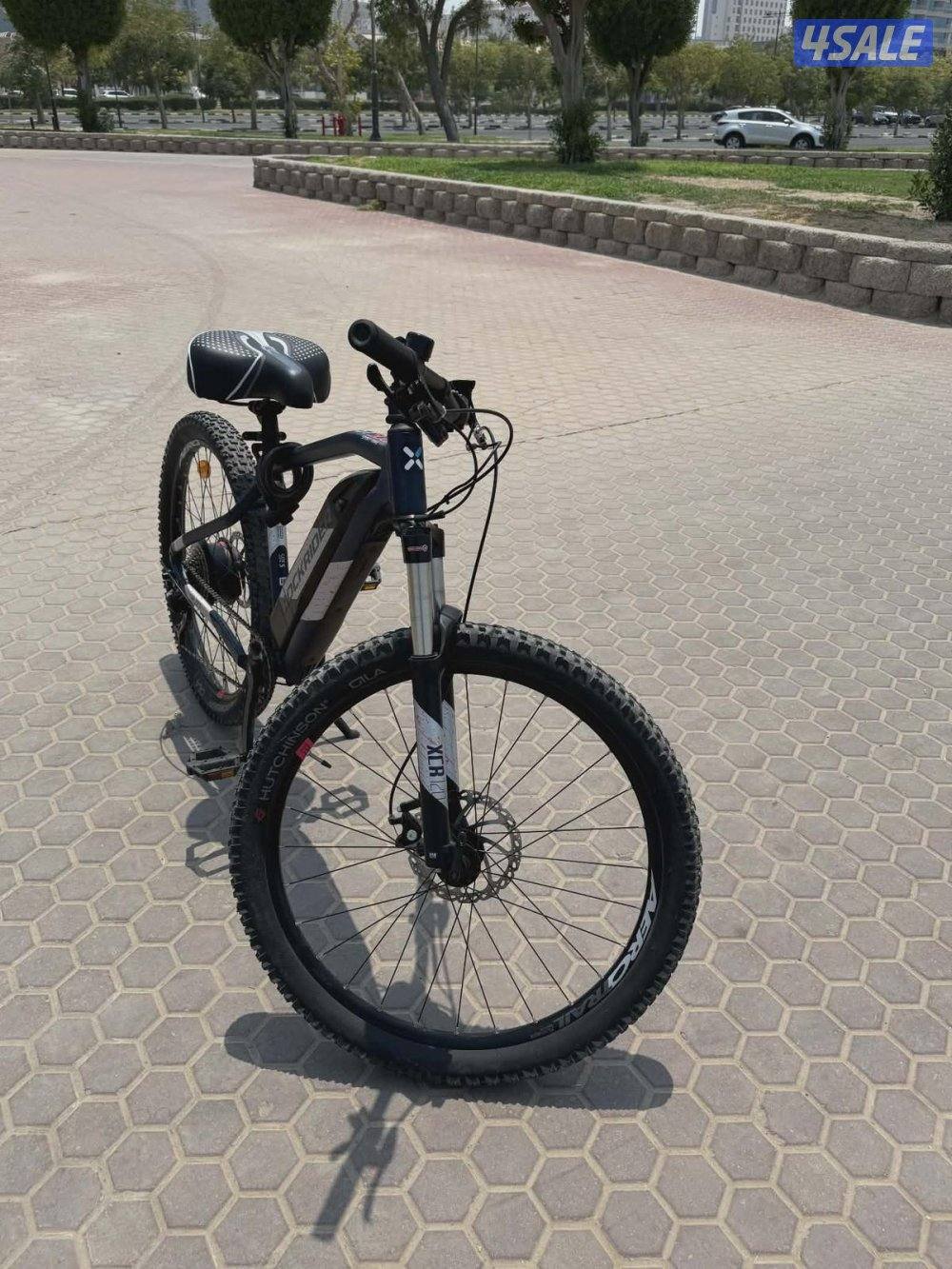 semi electric bicycle0