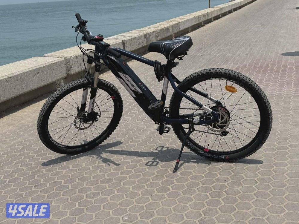 semi electric bicycle1