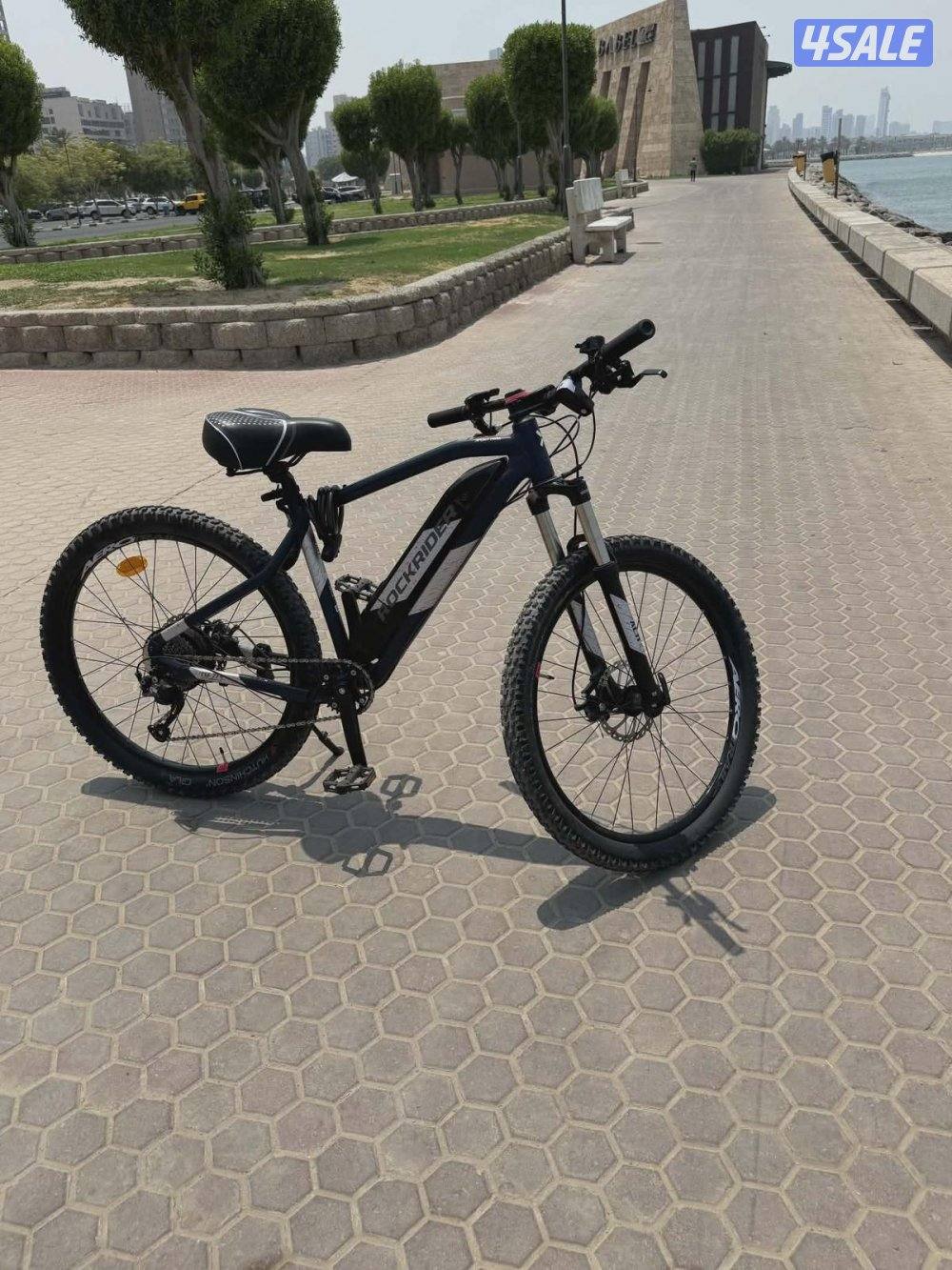 semi electric bicycle2