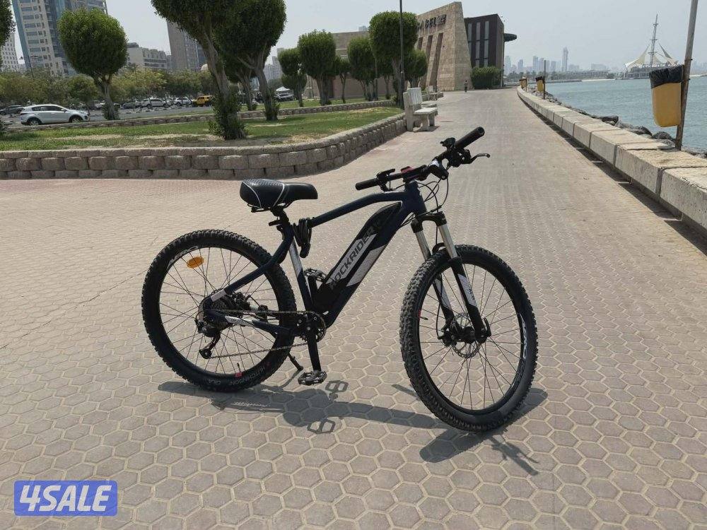 semi electric bicycle4