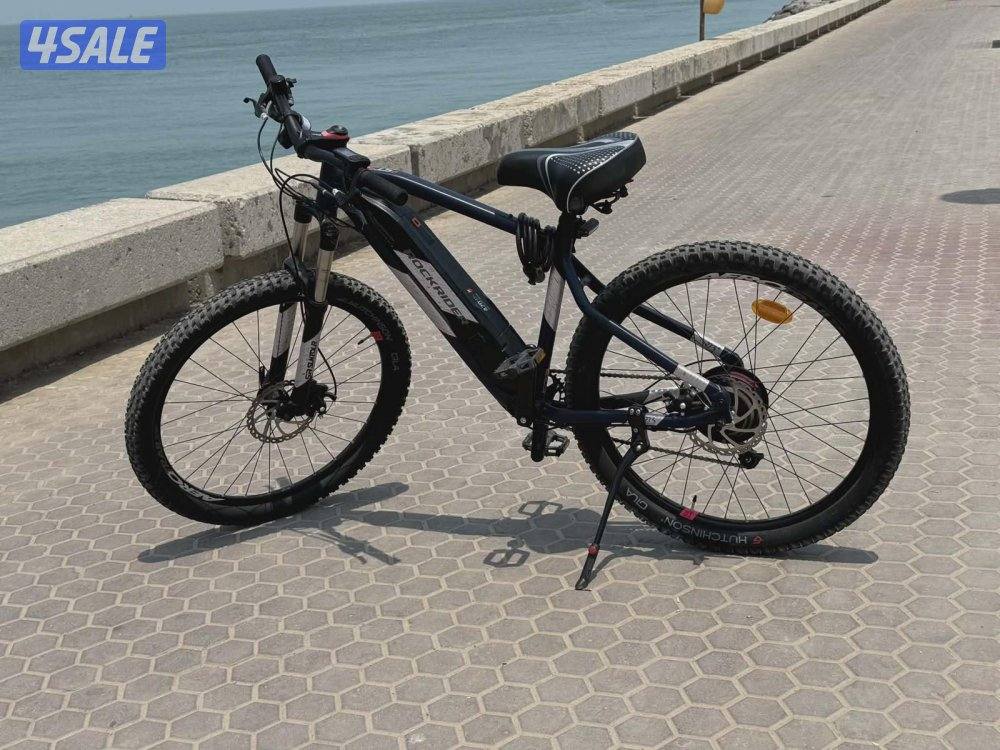 semi electric bicycle5