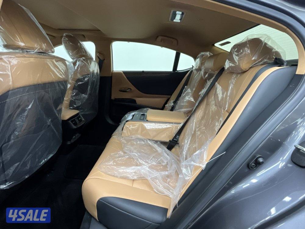 LEXUS ES250 25ES250-LUXURY3