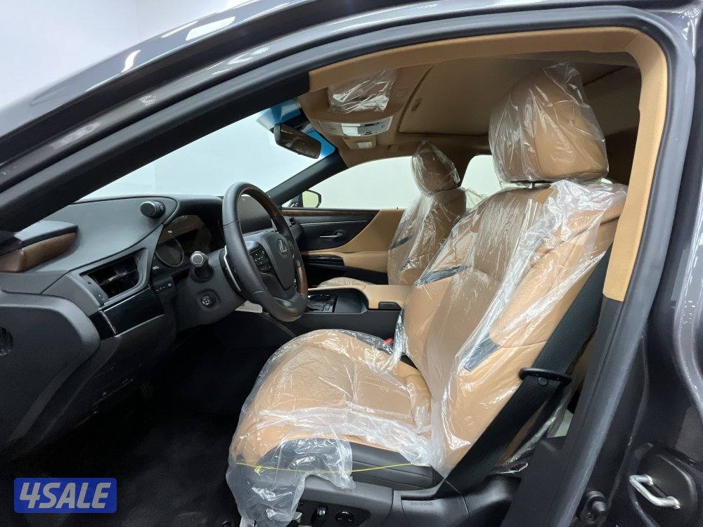 LEXUS ES250 25ES250-LUXURY4