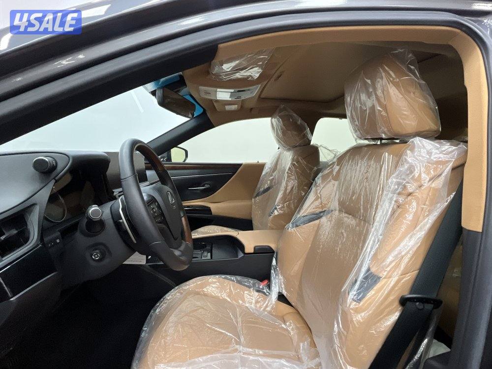 LEXUS ES250 25ES250-LUXURY5