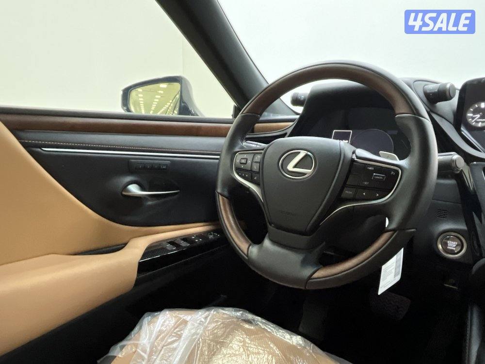 LEXUS ES250 25ES250-LUXURY12