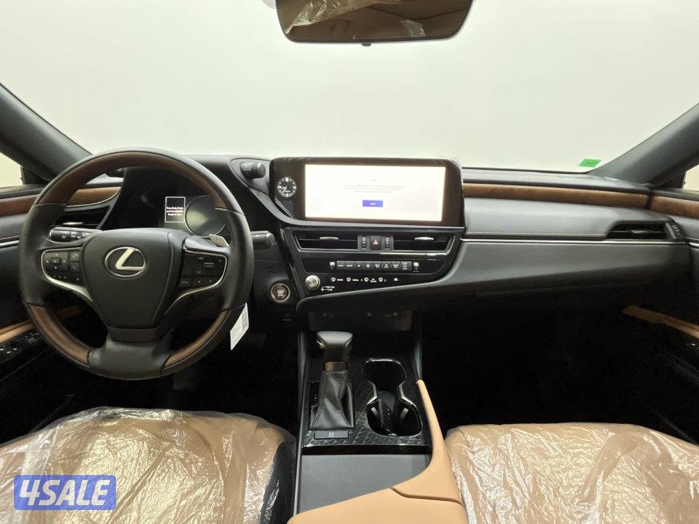 LEXUS ES250 25ES250-LUXURY11