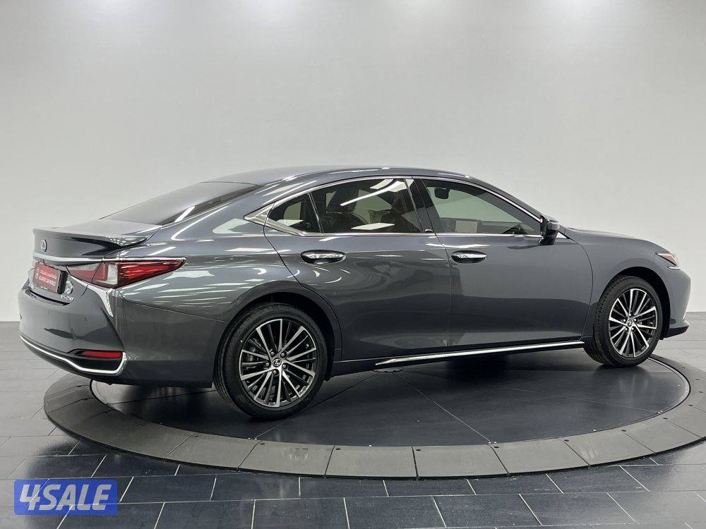 LEXUS ES250 25ES250-LUXURY14