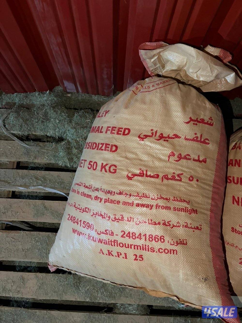 تمر وشتلات بلوبنك وفروخ نخل7