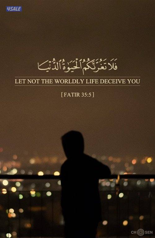 شقه بالمهندسين للبيع السنوي غرفتين وحمامين موقع ممتازا1