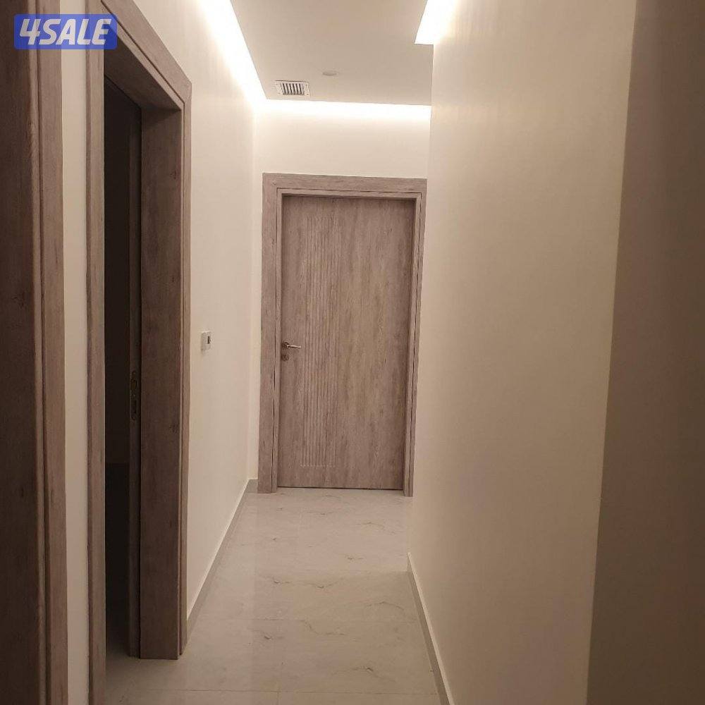 شقه للايجار5