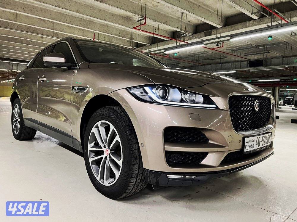 🔥 بحالة الوكالة 🔥2