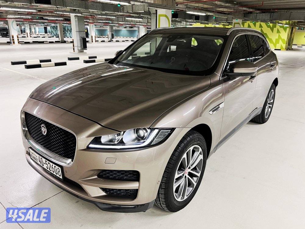 🔥 بحالة الوكالة 🔥8