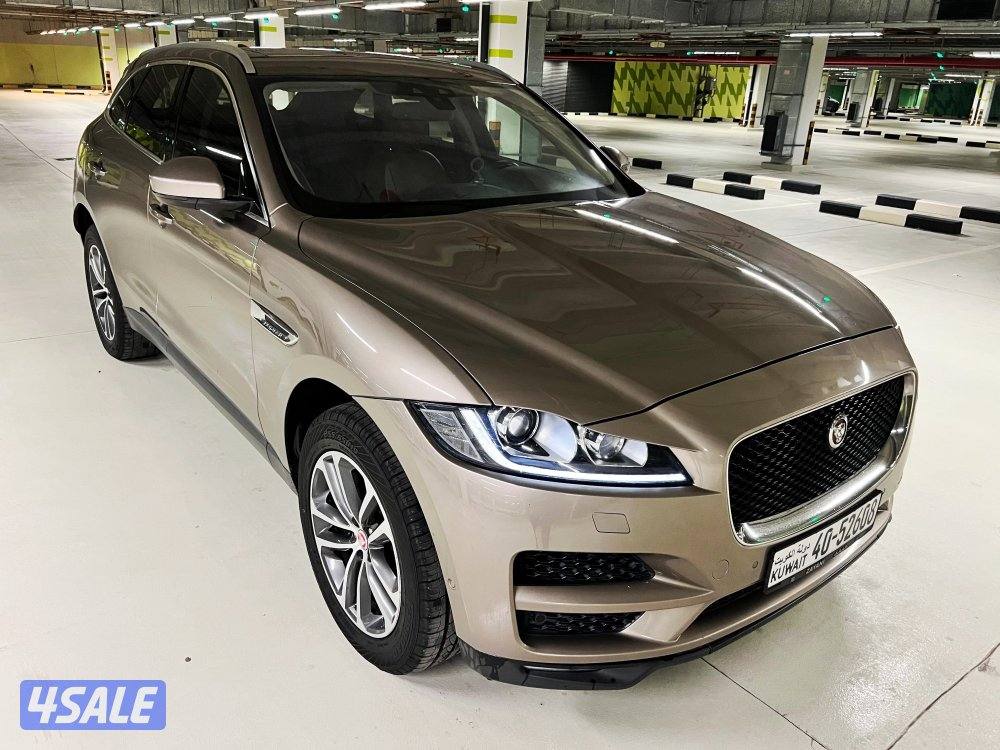 🔥 بحالة الوكالة 🔥10