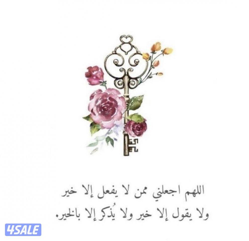 شقه بالمهندسين للبيع السنوي غرفتين وحمامين موقع ممتازا2