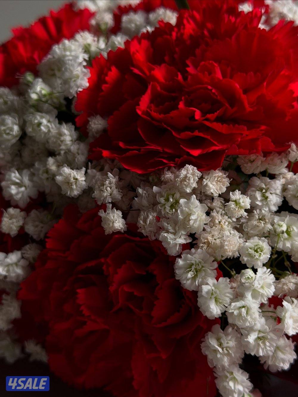 زهور وحلويات1