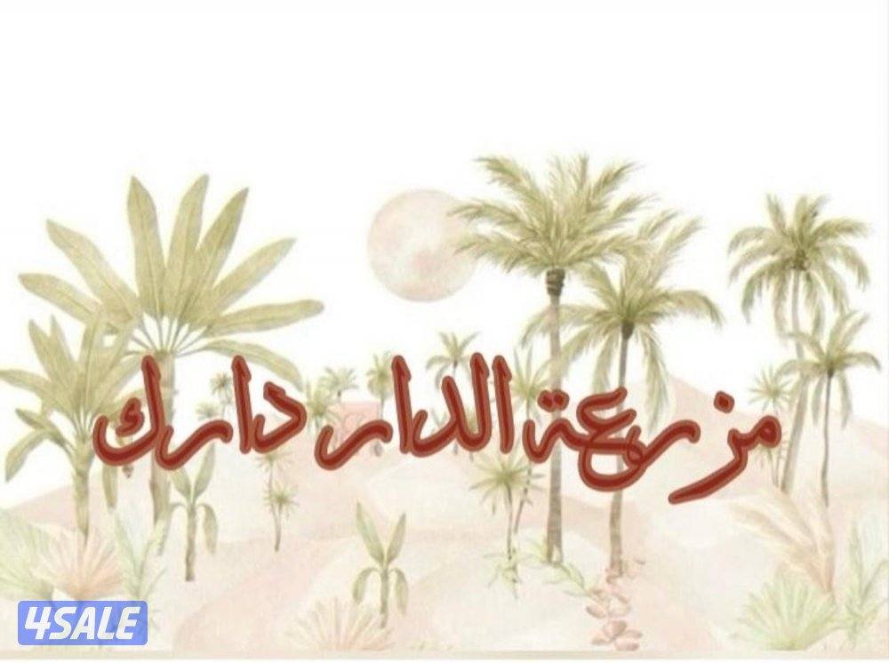 مزرعه للإيجار اليومي ( وتس اب )0