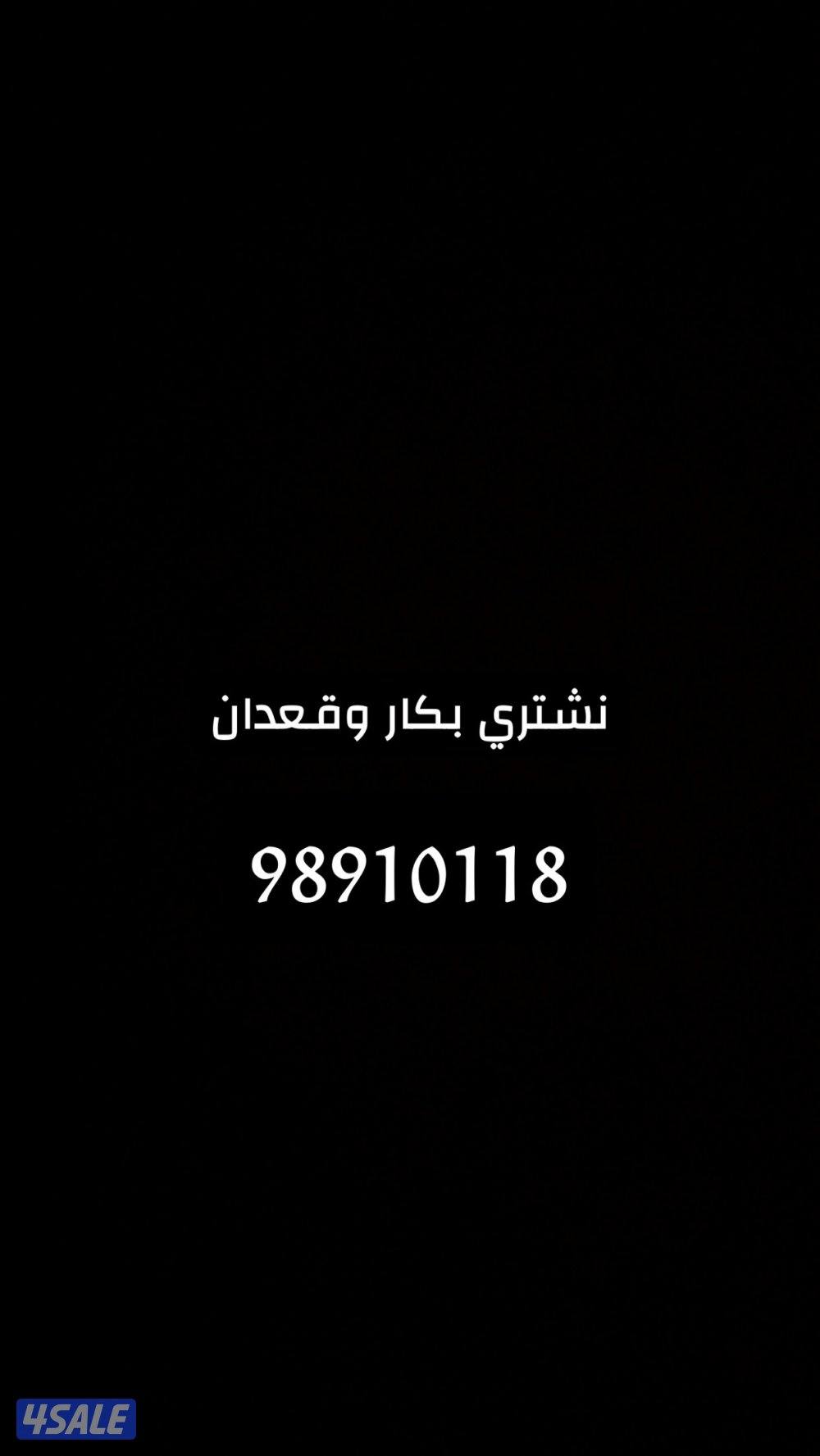 نشتري قعدان وبكار0