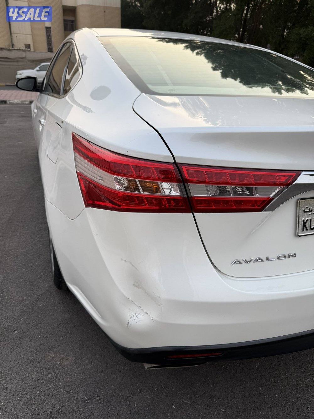 صبغ الوكالة ماعدا قطعتين0