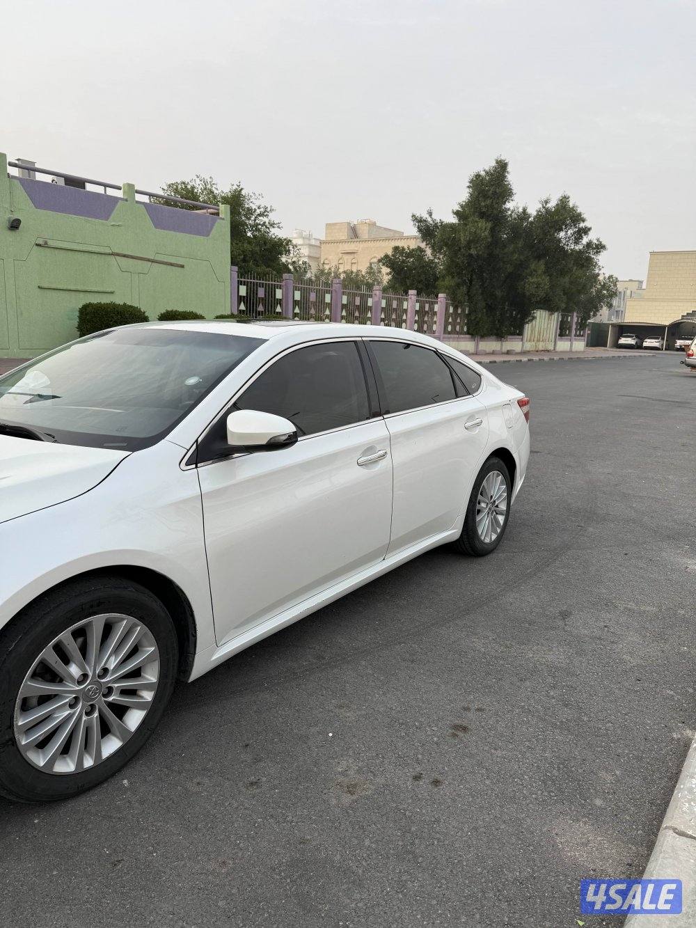 صبغ الوكالة ماعدا قطعتين1