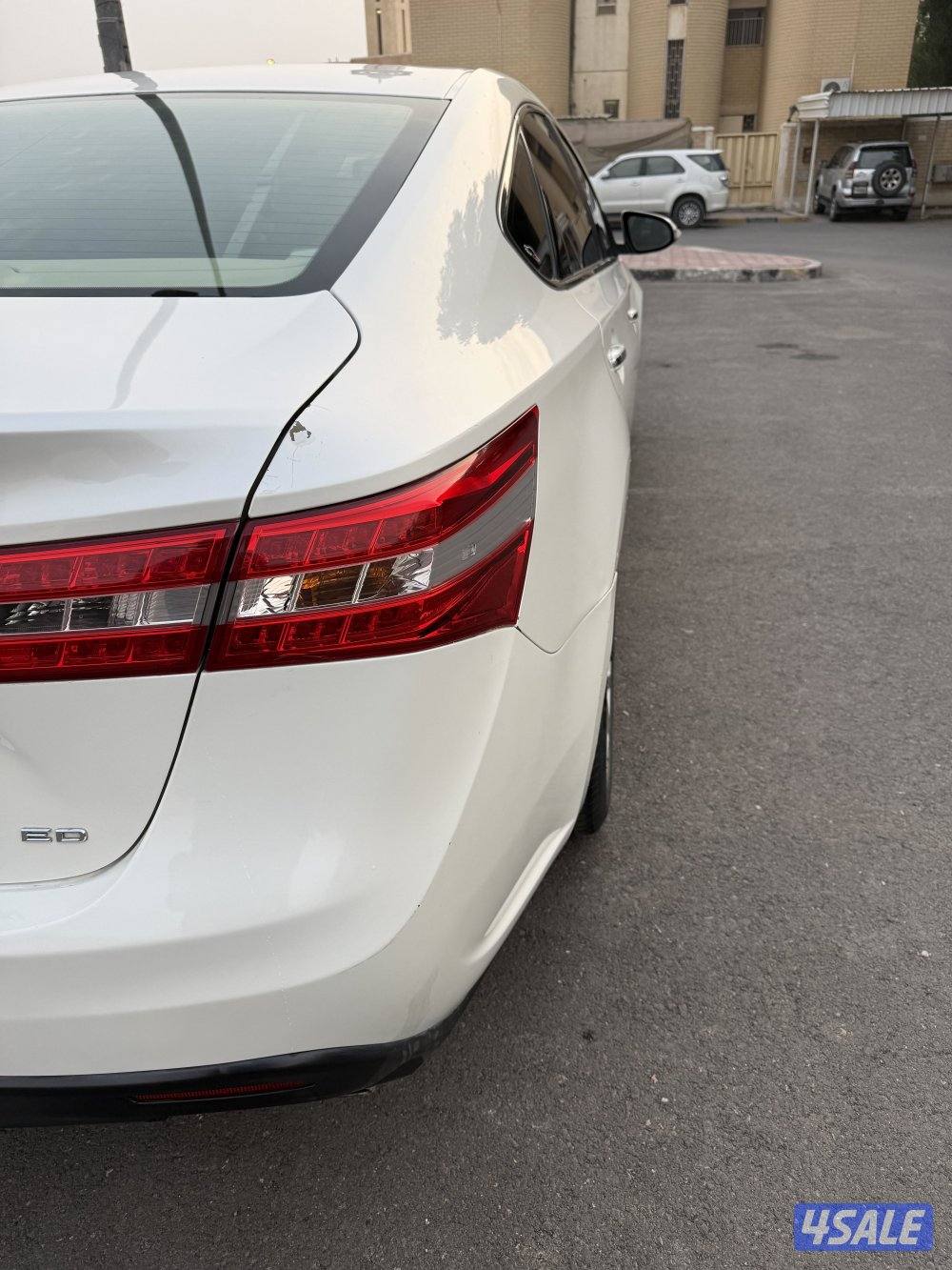 صبغ الوكالة ماعدا قطعتين6